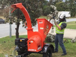 Angry Ant 4inch wood chipper